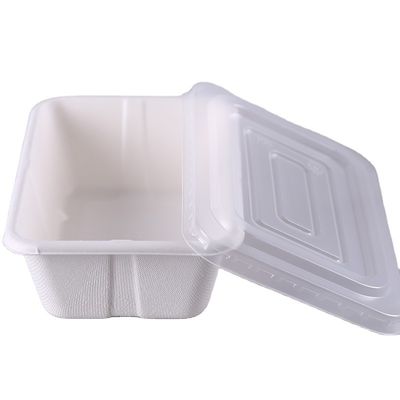 حاويات طعام بسعة 500 مل قابلة للتحلل الحيوي قابلة للتحلل في الميكروويف مع غطاء شفاف